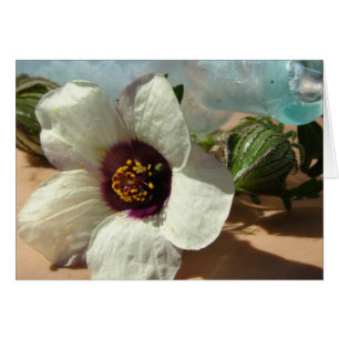Little White Flower, Vintage Flaska, Pumpkin Hälsningskort