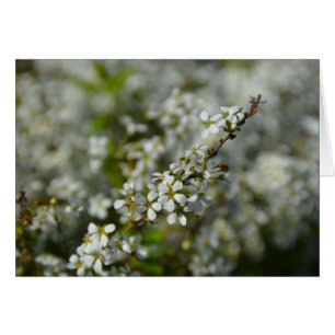 Little White Flowers Hälsningskort