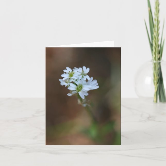 Little White Flowers Notecard Kort (Framsida)