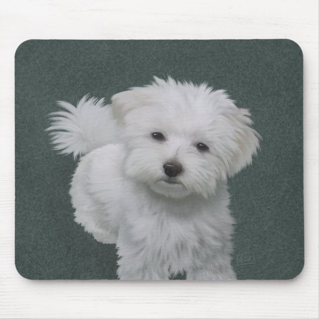 Little white hund pet porträtt musmatta (Framsidan)