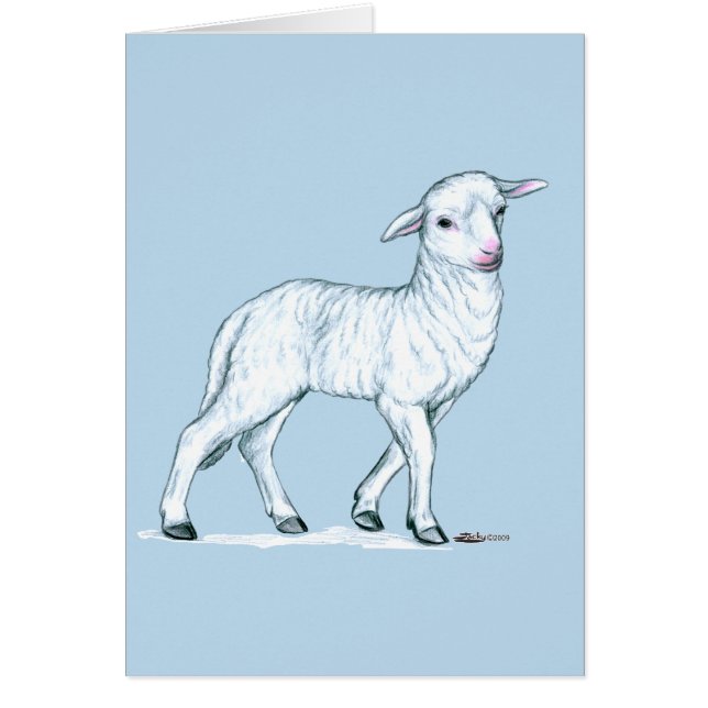 Little White Lamb OBS Kort (Framsidan)