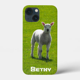 Little White Lamb och ditt namn