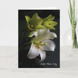 Little White Lily Dikt Kort