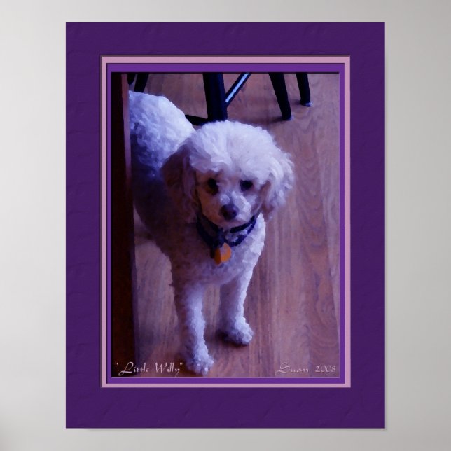Little Willy Poster (Framsidan)