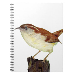 Little Wren Anteckningsbok