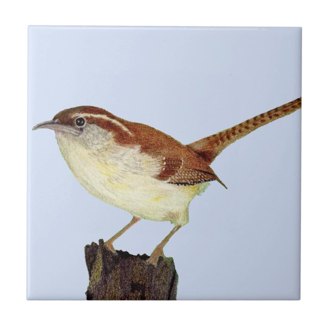 Little Wren Kakelplatta (Framsidan)