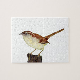 Little Wren Pussel