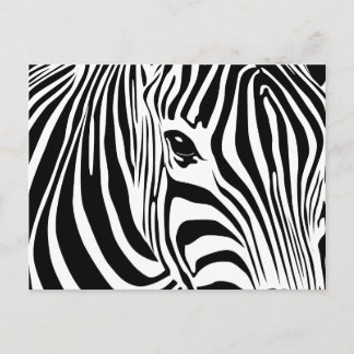 Little Zebra Postcard Vykort