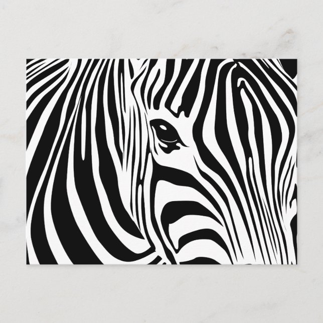 Little Zebra Postcard Vykort (Framsida)