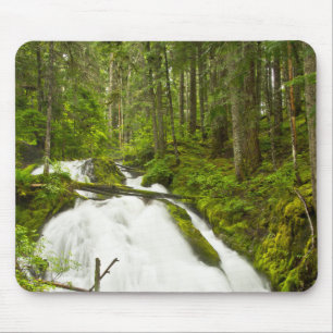 Little Zig Zag Falls Nationalskog vid berget Huv Musmatta