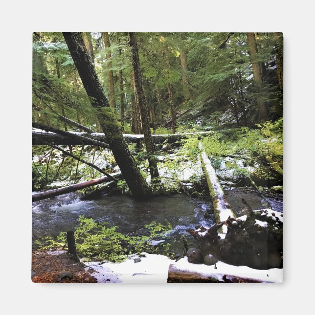 Little Zigzag River, Oregon Magnet (Framsidan)
