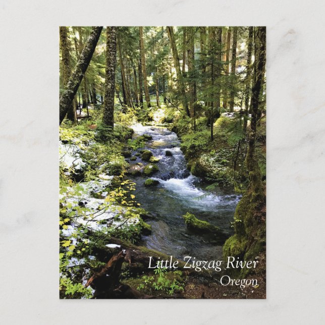 Little Zigzag River, Oregon Postcard Vykort (Framsida)