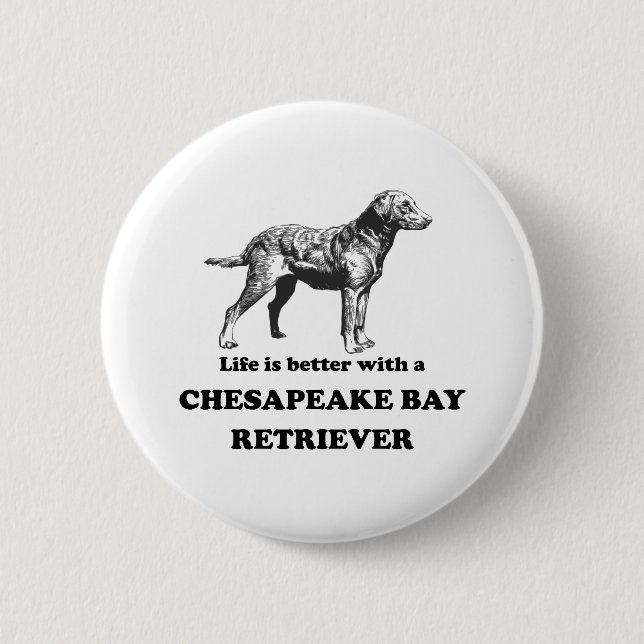 Liv är bättre med en ChesapeakefjärdRetriever Knapp (Framsida)