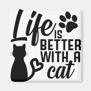 Liv är bättre med en katt magnet