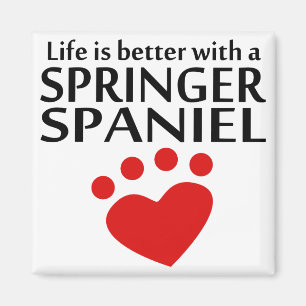 Liv är bättre med en SpringerSpaniel Magnet