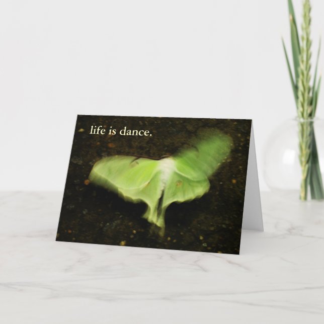 liv är dance.en kort (Framsida)