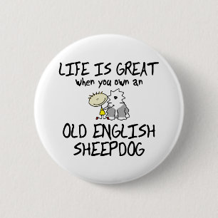 Liv är den utmärkt gammala engelska sheepdogen knapp