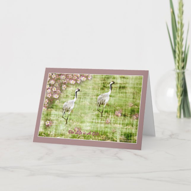 Liv är en gåva kort (Framsida)