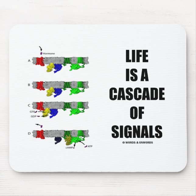 Liv är en kaskad av signalerar (signalera musmatta (Framsidan)
