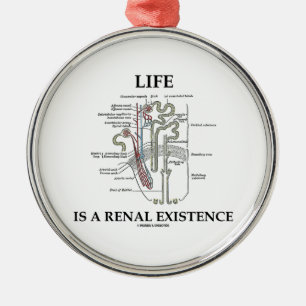 Liv är en Renal existens (njure Nephron) Julgransprydnad Metall