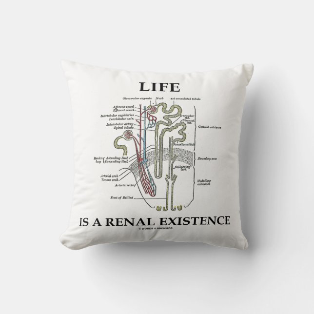 Liv är en Renal existens (njure Nephron) Kudde (Framsida)