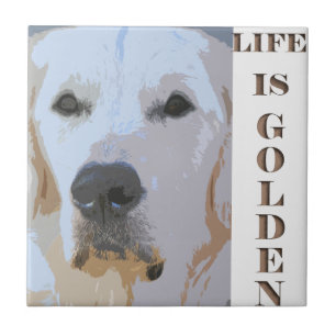LIV ÄR GOLDEN-TILE KAKELPLATTA