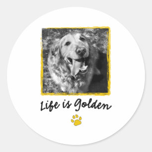 Liv är guld- (retrieveren) runt klistermärke