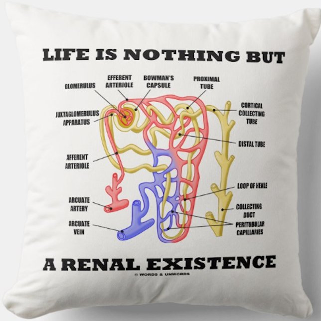 Liv är ingenting utom en Renal existens (Nephron) Kudde (Kidney's nephron throw pillow with the nephrology sentiment "Life Is Nothing But A Renal Existence")