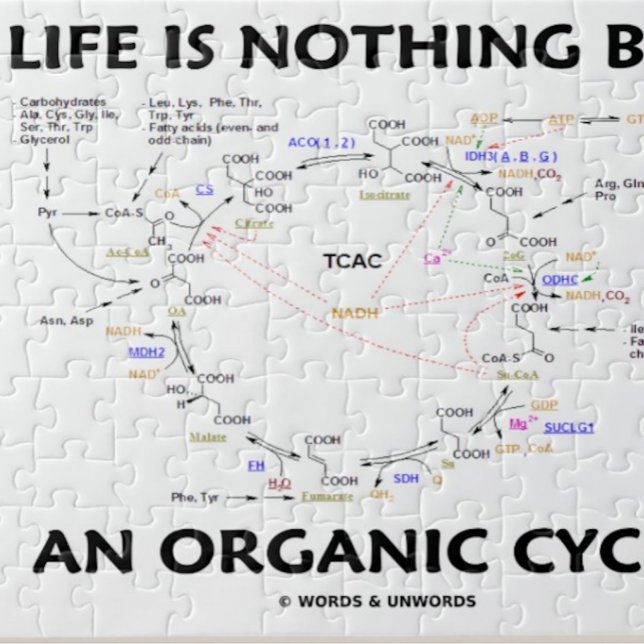 Liv är ingenting utom ett organiskt cyklar Krebs Pussel (Jigsaw puzzle for any Krebs cycle enthusiast)