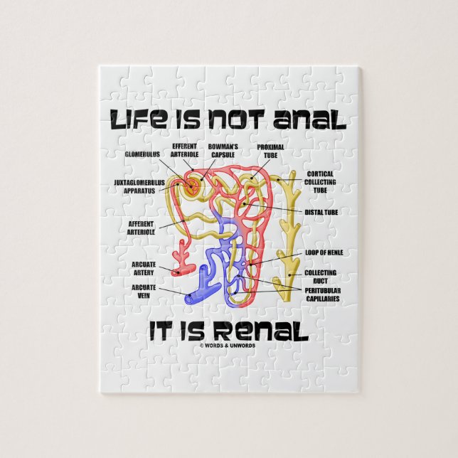 Liv är inte analt det är Renal (njure Nephron) Pussel (Vertikal)