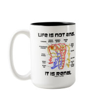 Liv är inte analt det är Renal (njure Nephron)
