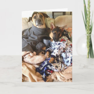 Liv är ruff.en kort