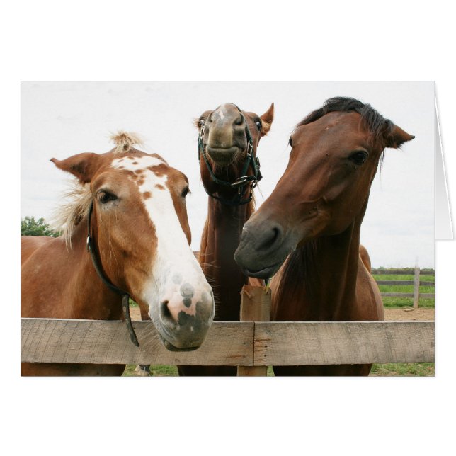 Liv av partyet hälsningskort (Framsidan Horizontal)