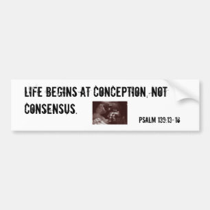 Liv börjar på conception.en bildekal