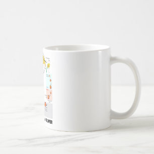 Liv cyklar av en blomma (angiospermen) kaffemugg