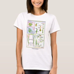 Liv cyklar av en typisk Moss (Bryophyte) Tee Shirt