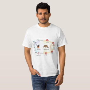 Liv för den T-tröjadiagramBabesia microtien cykl T Shirt