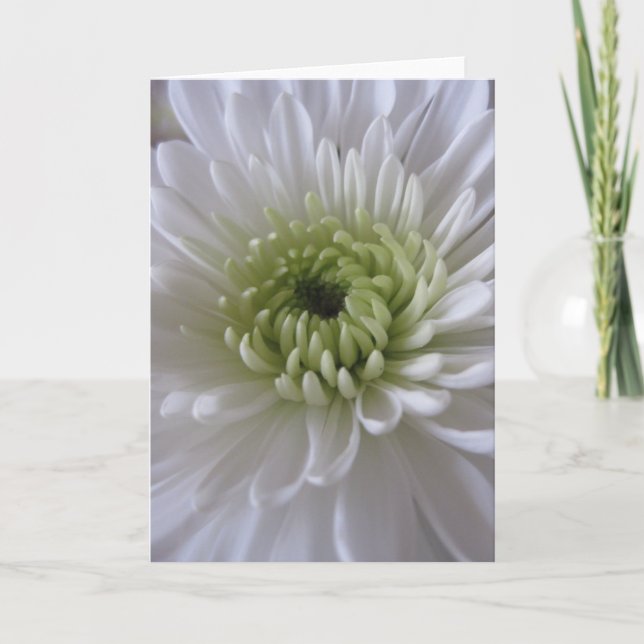 Liv i 2) hälsningkort för blom ( kort (Framsida)