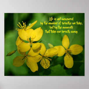Liv Inspirerande Citat Vilda Blommor  Poster