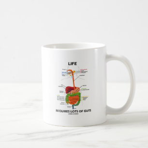 Liv kräver raddainnanmäte (digestivkexsystemet) kaffemugg