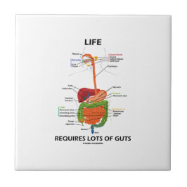Liv kräver raddainnanmäte (digestivkexsystemet) kakelplatta