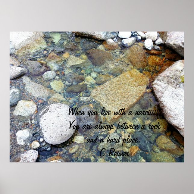 Liv med en narcissist Poster (Framsidan)