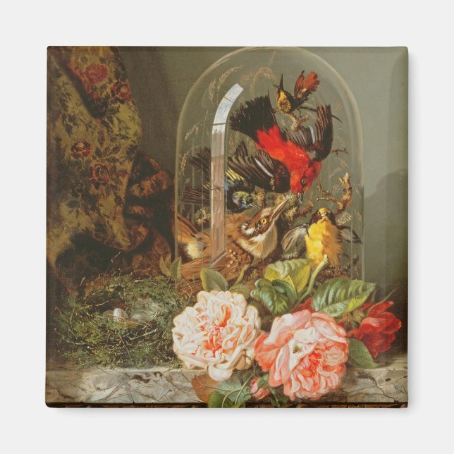 Liv med Humming Bird i en Glass Dome Magnet (Framsidan)