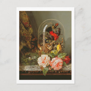 Liv med Humming Bird i en Glass Dome Vykort