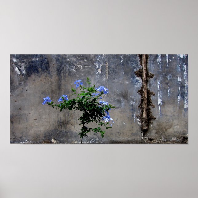 Liv och död poster (Framsidan)