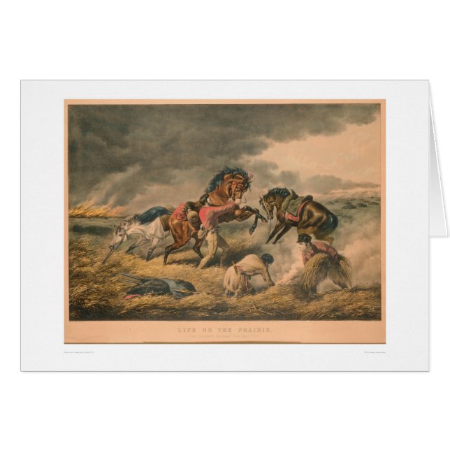 Liv på prärie: Trappers försvar (0879A) Hälsningskort (Framsidan Horizontal)