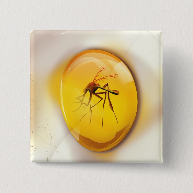 Liv ska fynd a långt knapp (Framsida)