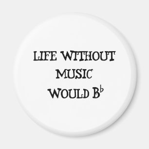 Liv utan musik magnet
