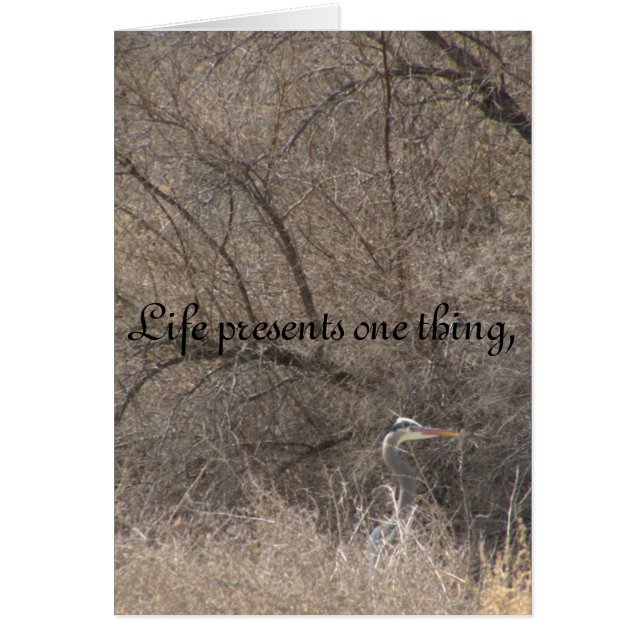 Livändringar Hälsningskort (Framsidan)