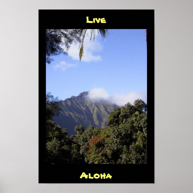 Live Aloha Poster (Framsidan)